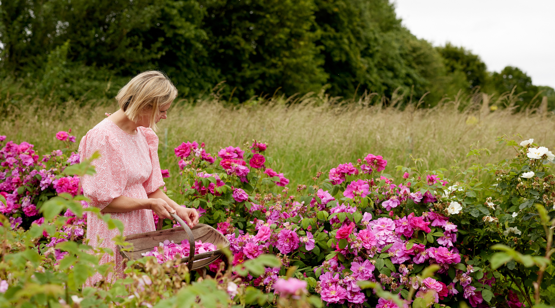 Celebrating B Corp Month