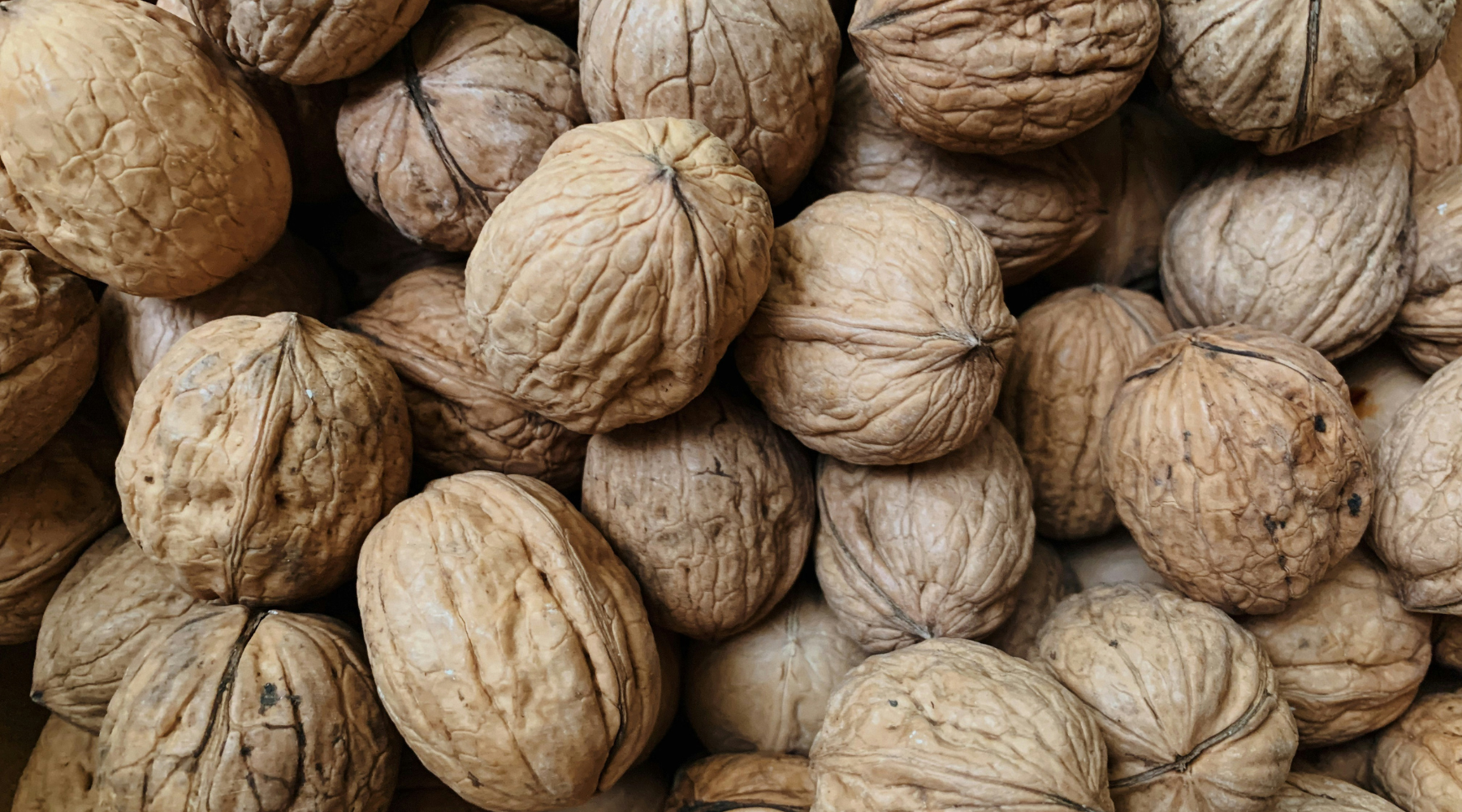 The Magic Of... Walnut