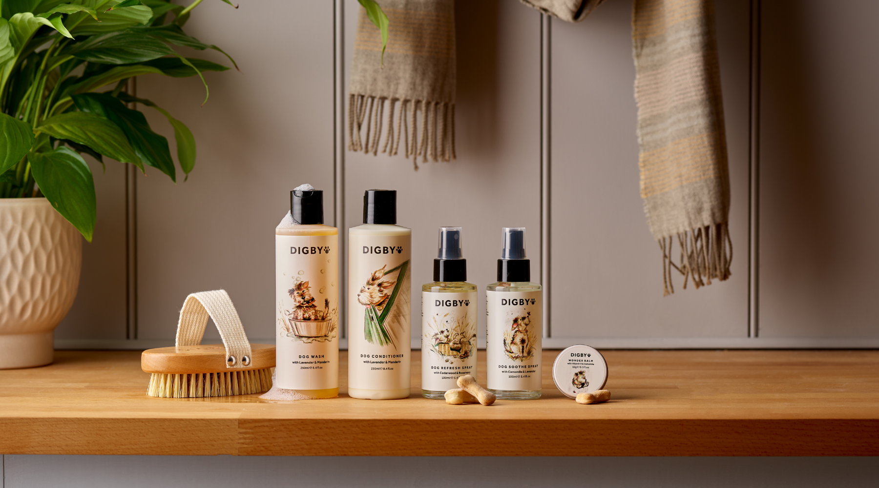 Digby Has a New Look